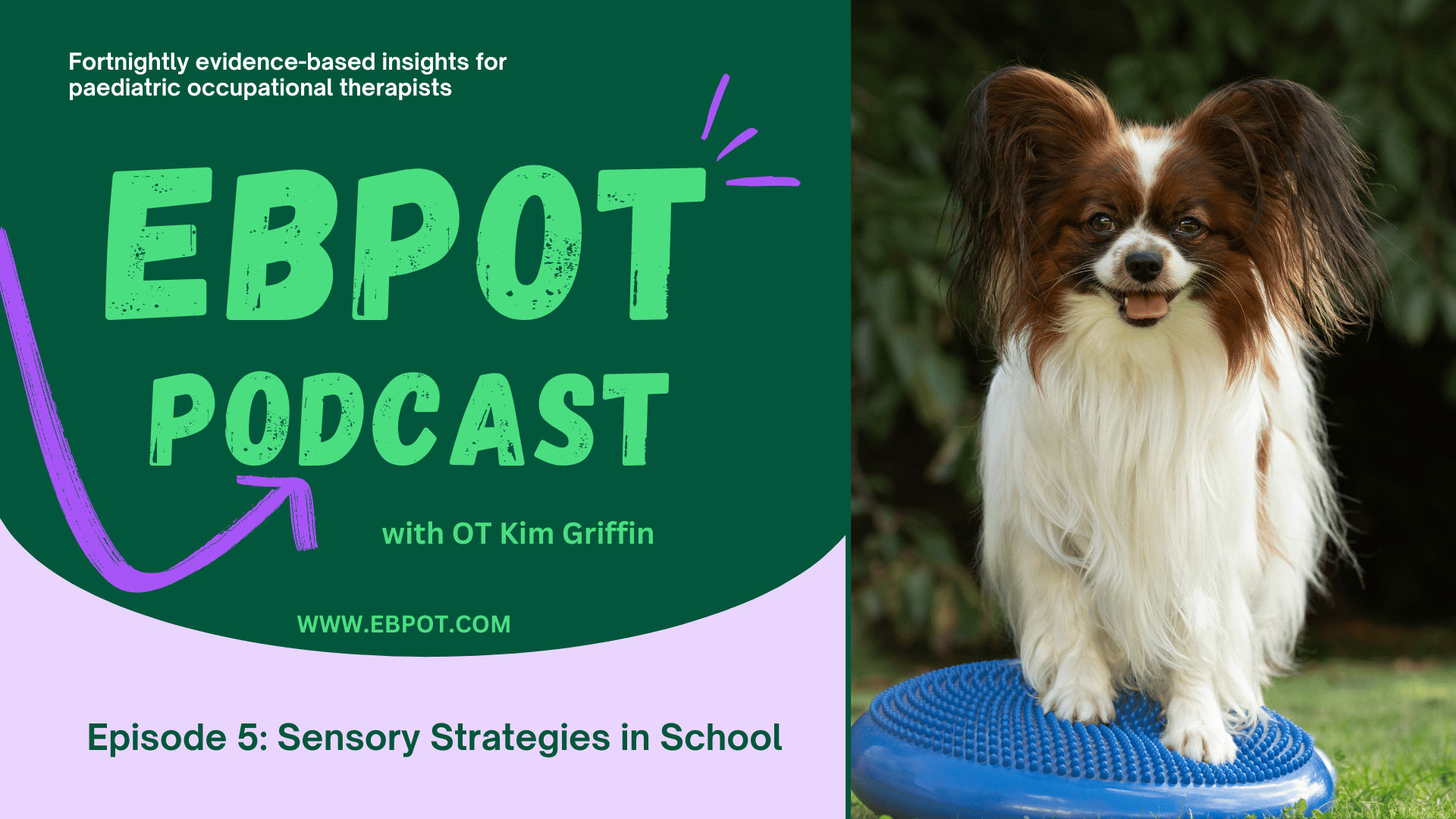 Paeds 5: Sensory @ School