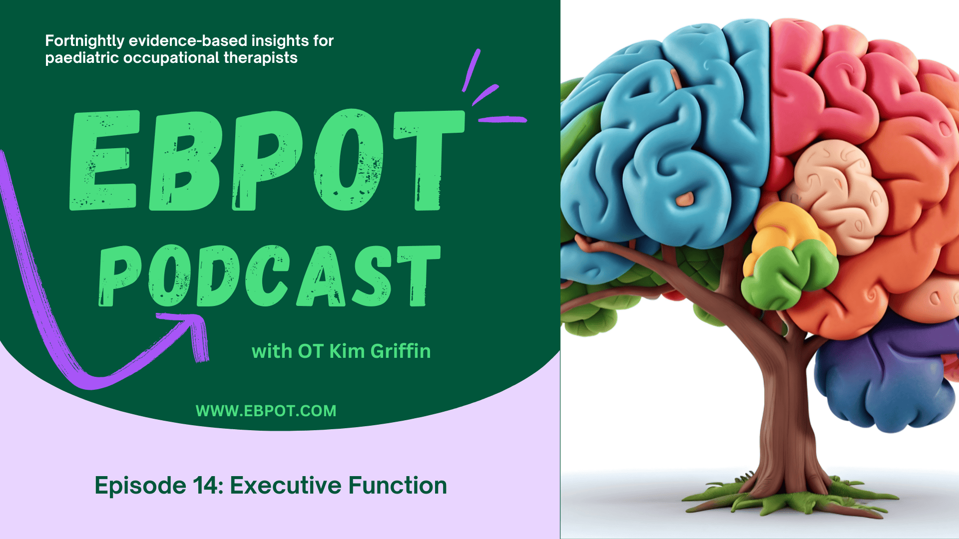 Paeds 14: Executive Functions